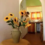 Un Mare Di Sole *